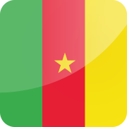 Drapeau e-Visa Cameroun